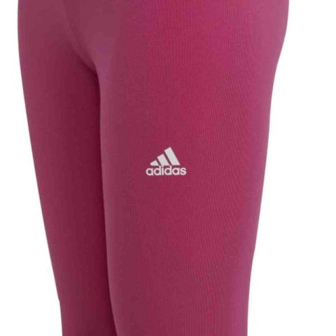 Legginsy adidas Essentials Linear Logo Cotton Tights Jr IC3581 Adidas