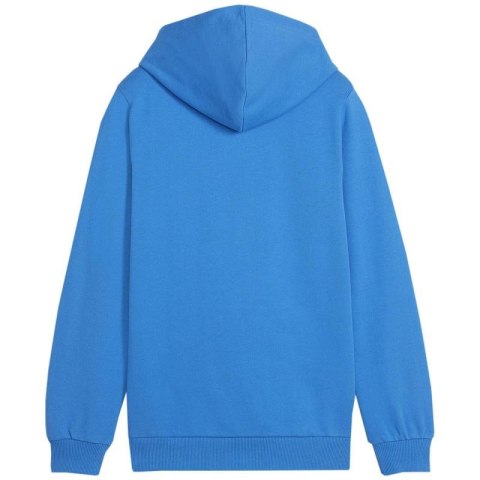 Bluza Puma Team Goal Casuals Hoddy Jr 658619 02 Puma