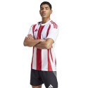 Koszulka adidas Striped 24 JSY M IW2142 Adidas