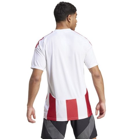 Koszulka adidas Striped 24 JSY M IW2142 Adidas