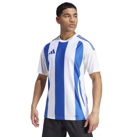 Koszulka adidas Striped 24 JSY M IW2144 Adidas