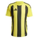 Koszulka adidas Striped 24 JSY M IW2146 Adidas