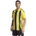Koszulka adidas Striped 24 JSY M IW2146 Adidas