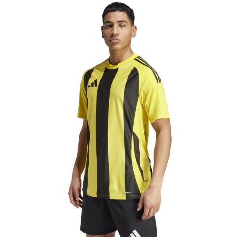 Koszulka adidas Striped 24 JSY M IW2146 Adidas
