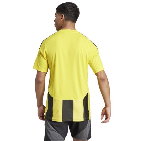 Koszulka adidas Striped 24 JSY M IW2146 Adidas