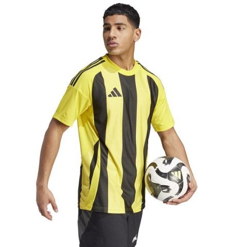 Koszulka adidas Striped 24 JSY M IW2146 Adidas