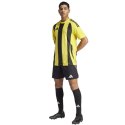 Koszulka adidas Striped 24 JSY M IW2146 Adidas