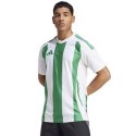 Koszulka adidas Striped 24 JSY M IW2148 Adidas