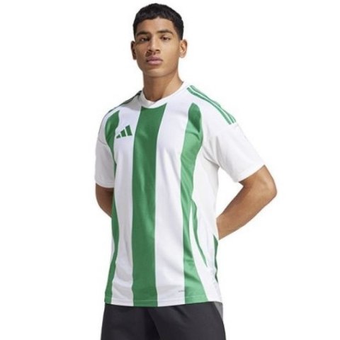 Koszulka adidas Striped 24 JSY M IW2148 Adidas