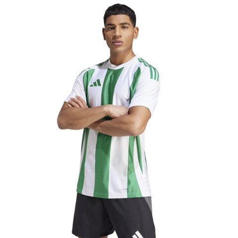 Koszulka adidas Striped 24 JSY M IW2148 Adidas