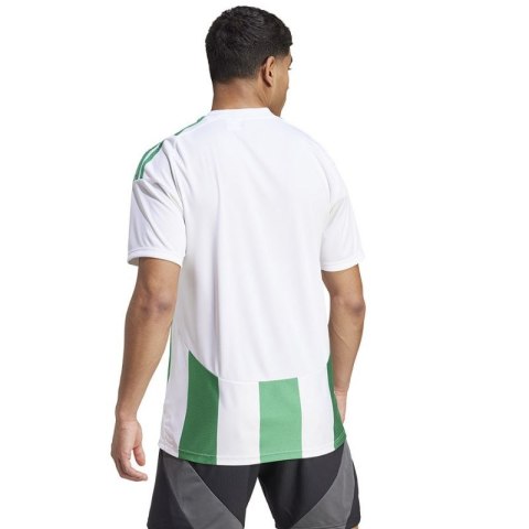 Koszulka adidas Striped 24 JSY M IW2148 Adidas