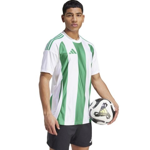 Koszulka adidas Striped 24 JSY M IW2148 Adidas