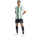 Koszulka adidas Striped 24 JSY M IW2148 Adidas