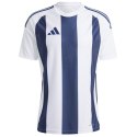 Koszulka adidas Striped 24 JSY M IW4554 Adidas