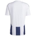 Koszulka adidas Striped 24 JSY M IW4554 Adidas
