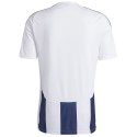 Koszulka adidas Striped 24 JSY M IW4554 Adidas