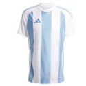 Koszulka adidas Striped 24 JSY M IW4555 Adidas