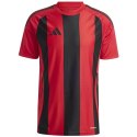 Koszulka adidas Striped 24 JSY M IW4556 Adidas