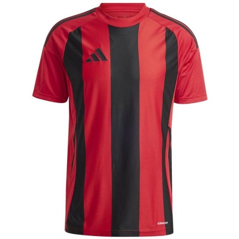 Koszulka adidas Striped 24 JSY M IW4556 Adidas
