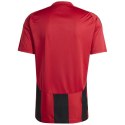 Koszulka adidas Striped 24 JSY M IW4556 Adidas
