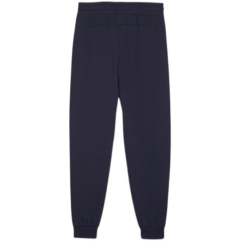 Spodnie Puma Team Goal Jr 658601 06 Puma