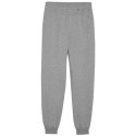 Spodnie Puma Team Goal Jr 658601 33 Puma