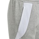 Spodnie adidas Tiro 24 Sweat Jr IS1009 Adidas