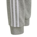 Spodnie adidas Tiro 24 Sweat Jr IS1009 Adidas