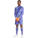 Spodenki adidas Tiro 24 M IT2413 Adidas