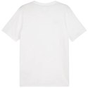 Koszulka Puma Team Goal Casuals Tee M 658615 04 Puma