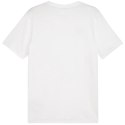 Koszulka Puma Team Goal Casuals Tee M 658615 04 Puma