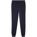 Spodnie Puma Team Goal Casuals M 658598 06 Puma