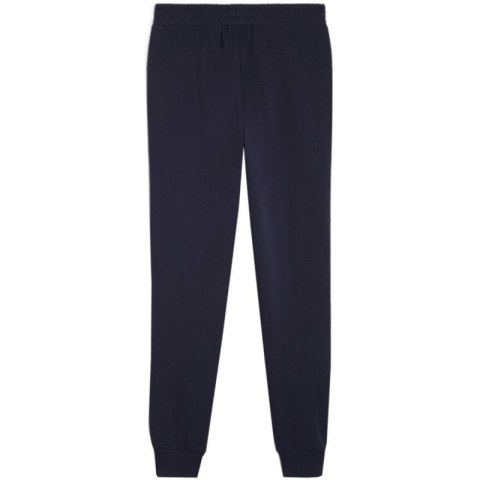 Spodnie Puma Team Goal Casuals M 658598 06 Puma