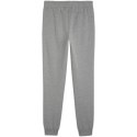 Spodnie Puma Team Goal Casuals M 658598 33 Puma