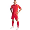 Spodenki adidas Tiro 24 M IR9379 Adidas