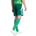 Spodenki adidas Tiro 24 M IS1410 Adidas
