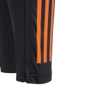 Spodnie adidas Tiro 24 Competition Training Jr IS1638 Adidas