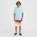 Koszulka O'Neill JS Fill T-Shirt M 92800613632 ONeill