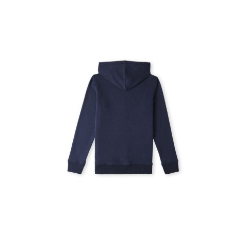 Bluza O'Neill Logo Hoodie Jr 92800615001 ONeill
