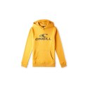 Bluza O'Neill Logo Hoodie Jr 92800615006 ONeill