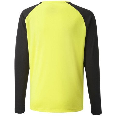 Bluza bramkarska Puma teamPacer GK LS Jersey Jr 704939 42 Puma