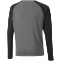 Bluza bramkarska Puma teamPacer GK LS Jersey Jr 704939 43 Puma