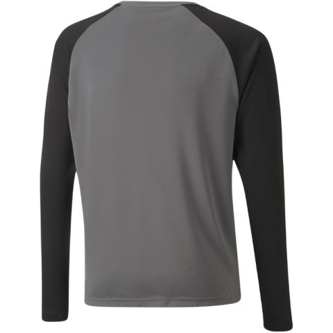 Bluza bramkarska Puma teamPacer GK LS Jersey Jr 704939 43 Puma