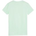Koszulka Puma ESS Logo Tee W 586775 90 Puma