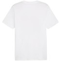 Koszulka Puma Graphics Summer Sports Tee II M 627909 02 Puma