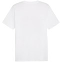 Koszulka Puma Graphics Summer Sports Tee II M 627909 02 Puma