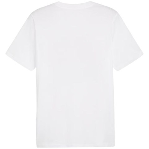 Koszulka Puma Graphics Summer Sports Tee II M 627909 02 Puma