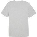 Koszulka Puma Graphics Summer Sports Tee II M 627909 04 Puma