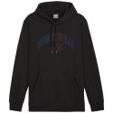 Bluza Puma Ess+ Logo LAB Gradient Hoodie FL M 681775 01 Puma