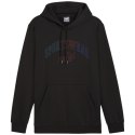 Bluza Puma Ess+ Logo LAB Gradient Hoodie FL M 681775 01 Puma